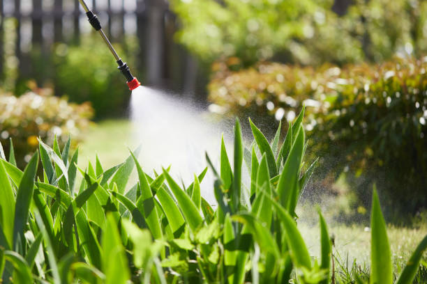 24/7 Emergency Fumigation Services experts in Belville, NC
