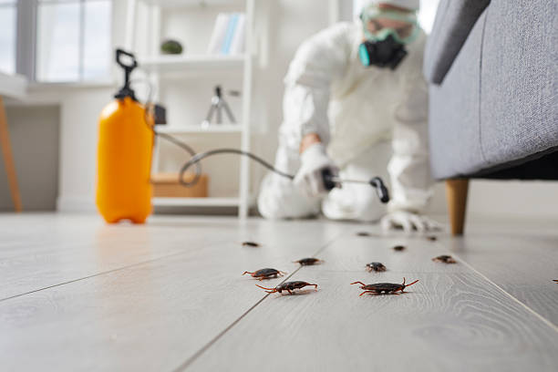 Trusted Fumigation Services service in Belville, NC - Nex Pest Control